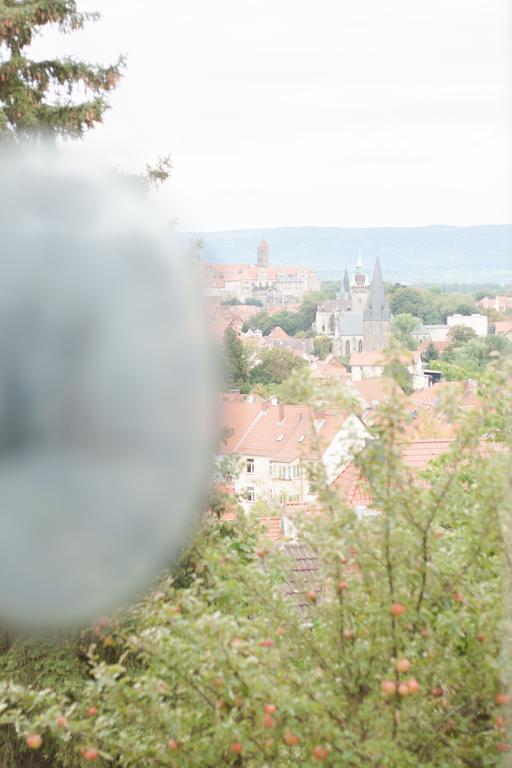 Ferienwohnung Grüne Insel Quedlinburg Zimmer foto